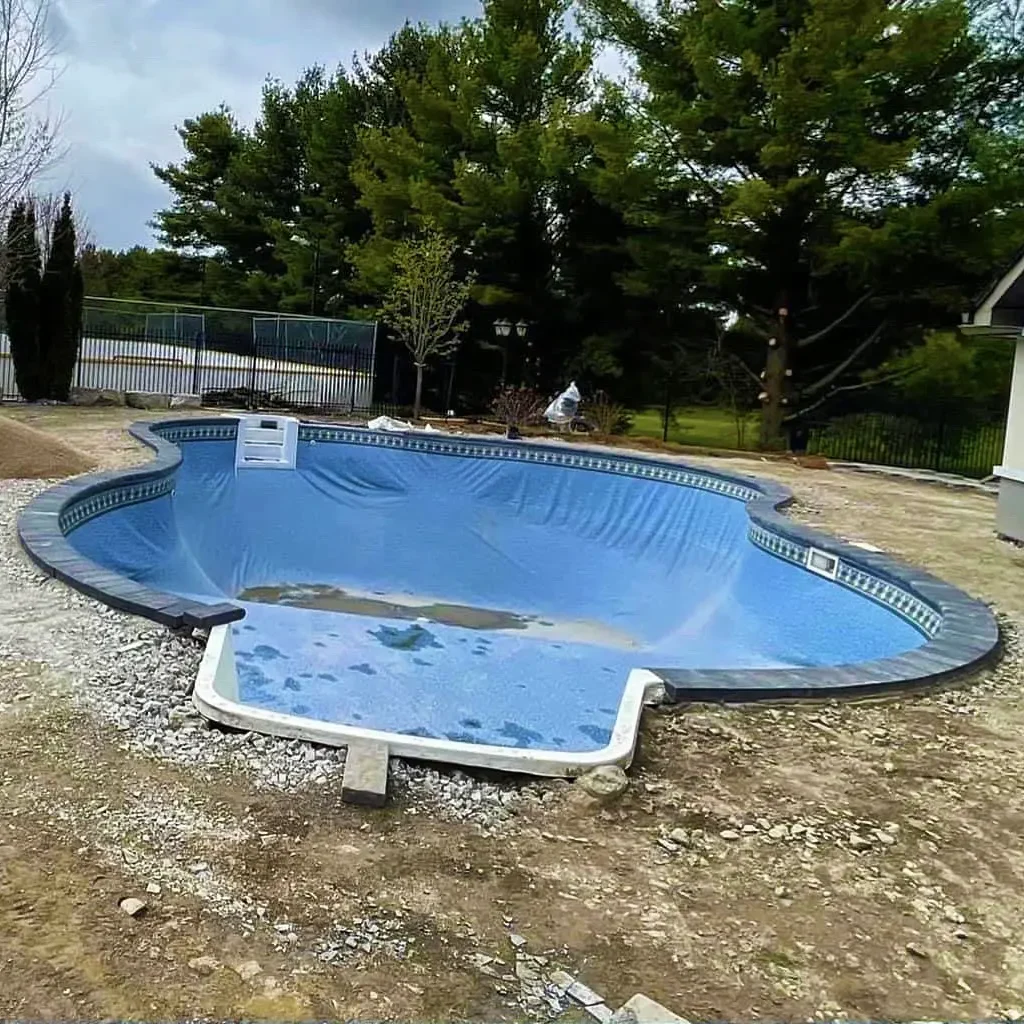 1b-e1729736752941